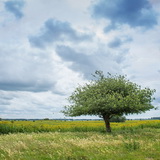 Tiengemeten